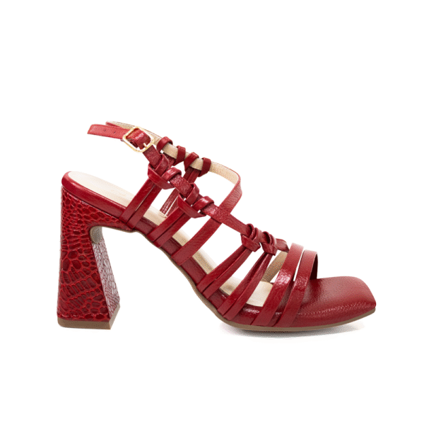 Ref.254 - Imagen 5