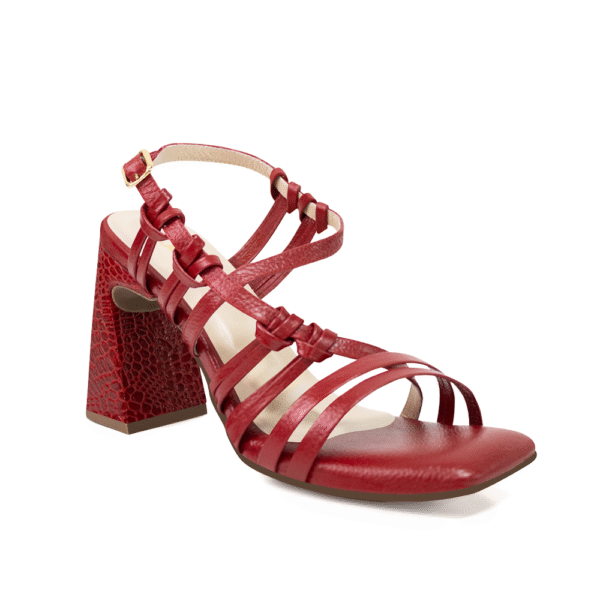 Ref.254 - Imagen 4